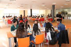 istmedeniyet universitesi find and study 1 - İstanbul Medeniyet Üniversitesi