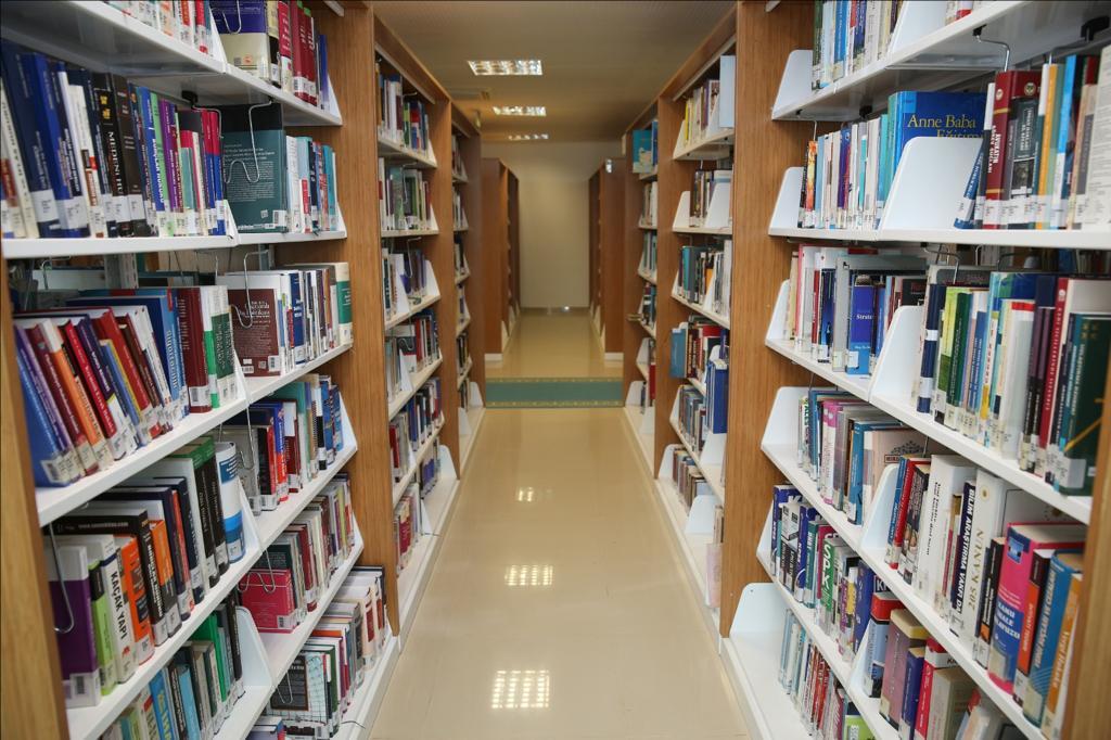 sirnak universitesi find and study 10 - Sirnak University